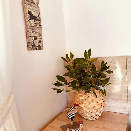 Oase Garden Habitación en casa particular