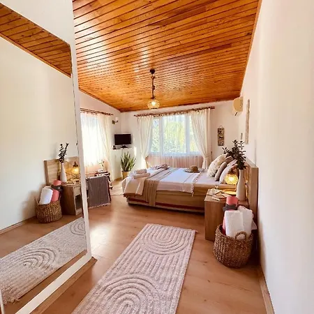 Oase Garden Habitación en casa particular Çıralı