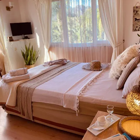 Habitación en casa particular Oase Garden