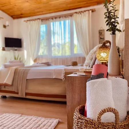Accommodatie bij particulieren Oase Garden