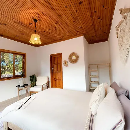 Homestay Olymposoase Pansiyon *