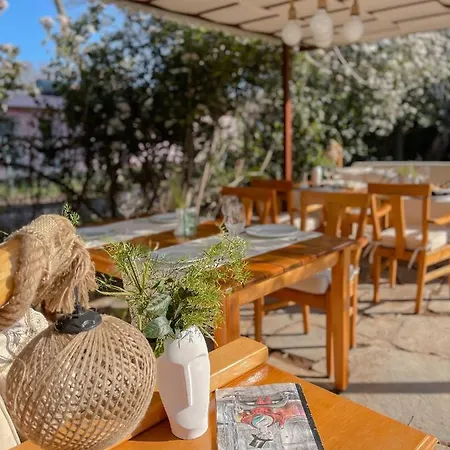 Alloggio in famiglia Oase Garden Çıralı