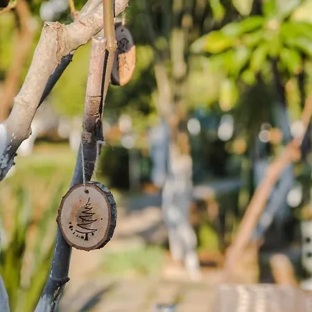Rum i privatbostad Oase Garden Çıralı