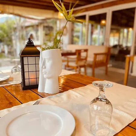 Olymposoase Pansiyon Homestay