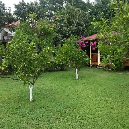 Homestay Oase Garden