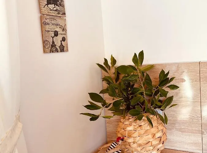 Oase Garden Проживание в семье