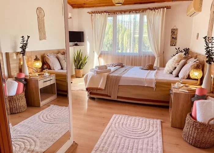 Homestay Oase Garden