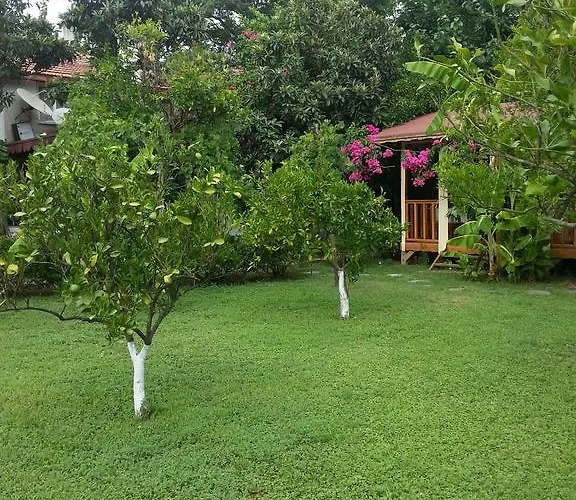 Homestay Oase Garden